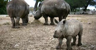 Parc Animalier La Barben