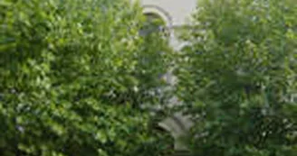 13DIV001719_1_WEB.jpg