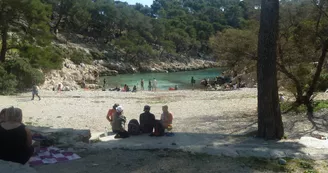 Plage calanque Port Pin Plage calanque Port Pin