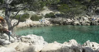 Calanque Port Pin Calanque Port Pin