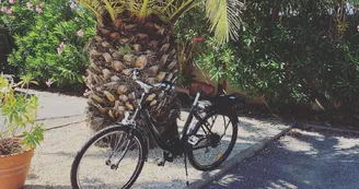 Vélo