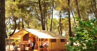 Les Pinèdes du Luberon