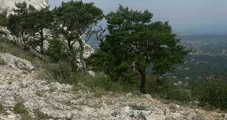 Chaine de l'Etoile Chaine de l'Etoile