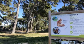 Parc aux écureuils Parc aux écureuils