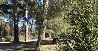 Parc aux écureuils Parc aux écureuils