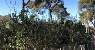 Parc aux écureuils Parc aux écureuils
