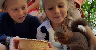 Les animaux et Marino Les animaux et Marino