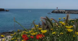 Le Marin Surf Shop_Martigues