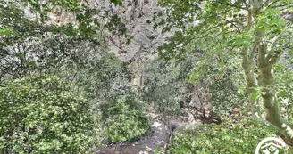 Chatvasana Chatvasana