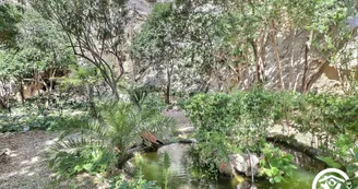Chatvasana Chatvasana