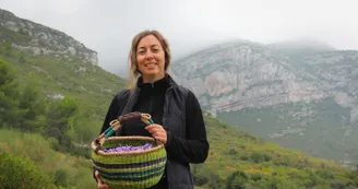 Terre de Safran - Céline Ceccaldi_Roquevaire
