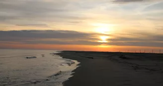 Plage de Beauduc Plage de Beauduc