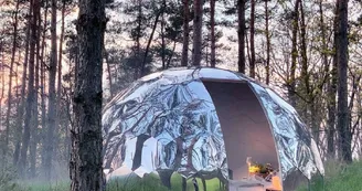 Cocoon Cocoon
