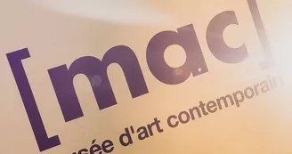 Musée d'art contemporain de Marseille [mac]