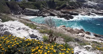 Calanque de Samena Marseille Calanque de Samena Marseille