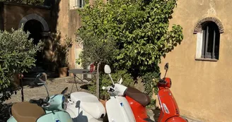 Calank Scoot