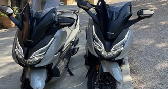 Calank Scoot