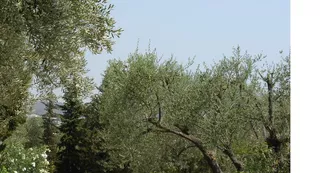 13T1000557_3_HD.jpg 13T1000557_3_HD.jpg