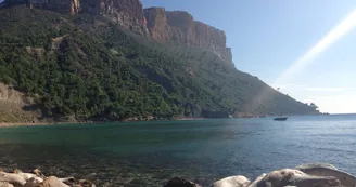 Anse de l'Arène_Cassis Anse de l'Arène_Cassis