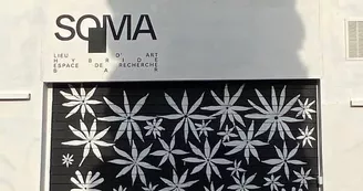 SOMA SOMA