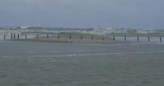 13SN000070_3_WEB.jpg 13SN000070_3_WEB.jpg
