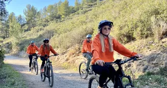 Garla bike