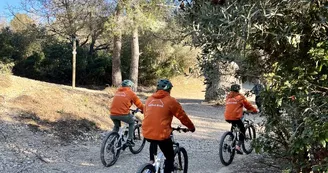 Garla bike