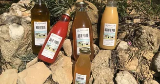 La Paternelle_Aubagne La Paternelle_Aubagne