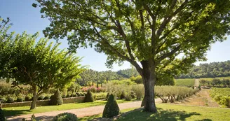chateau val joanis chateau val joanis