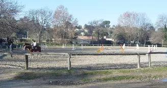 Club Hippique Marseille Club Hippique Marseille