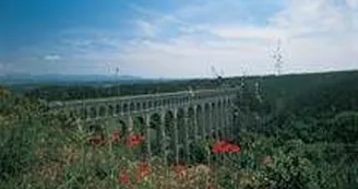 L'Arbois