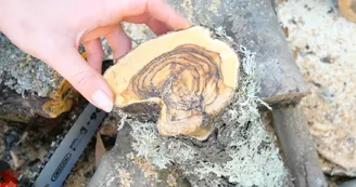au plus près de la nature au plus près de la nature