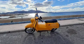 Scooter électrique Scooter électrique