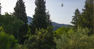Les Manaux Les Manaux