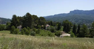 Les Manaux Les Manaux