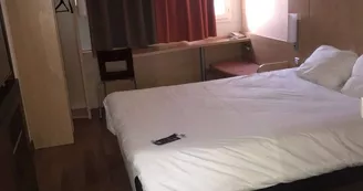 Ibis Ibis
