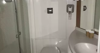 Ibis Ibis