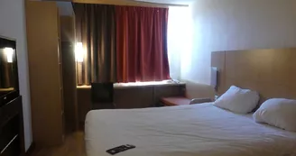 Ibis Ibis