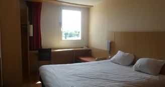 Ibis Ibis