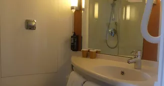 Ibis Ibis