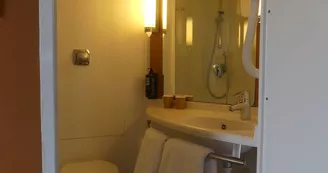 Ibis Ibis
