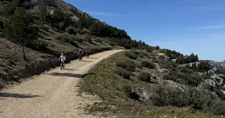 Calank Bike