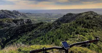 Delta Ride MTB Delta Ride MTB
