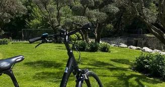 Delta Ride MTB Delta Ride MTB