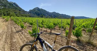 DELTARIDE MTB DELTARIDE MTB