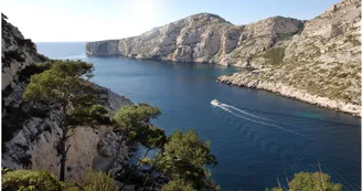 Calanque de Morgiou Marseille Calanque de Morgiou Marseille