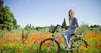 Sun e-bike Sun e-bike
