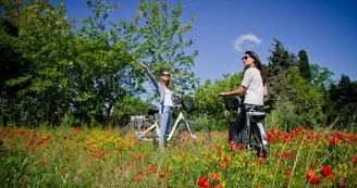 Sun e-bike Sun e-bike