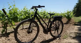 Sun e-Bike Sun e-Bike