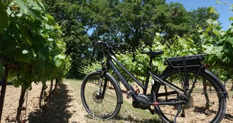Sun e-bike Sun e-bike